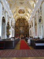 Trnava / Tyrnau, barocker Innenraum der Universittskirche St.