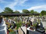 Laibach (Ljubljana), Zentralfriedhof, groe gepflegte Grabfelder sind eingerahmt von Kolumbarien, Juni 2016