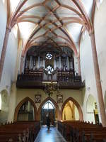Maribor, Orgelempore in der Kathedrale St.