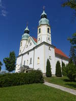 Celje, barocke Wallfahrtskirche St.