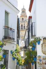 Calleja de las Flores, Crdoba.