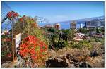 Auf steilen Pfaden unterwegs in Puerto de la Cruz, aber mit brillanter Aussicht auf die Bucht.