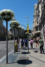 Madrid, Calle Alcala Strae (22.05.2010)