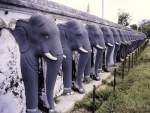 Die Elefanten-Reihe am Ruwanwelisaya Stupa bei Anuradhapura.