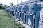 Elefanten an der Ruwanveli Sara Dagoba-Tempelanlage Anuradhapura.