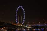 Am Abend des 5.1.2014 zog es uns nach Marina Bay wo dieses Foto vom Singapore Flyer entstand.