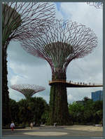 Knstlicher Baum  Super Tree  im Park  Gardens by the Bay  in Singapur.