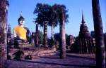 Buddha in der alten Stadt Ayutthaya.