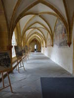 Česk Budějovice, Kreuzgang im Dominikanerkloster, 1265 gegrndet (26.05.2019)