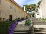 Mikulov/ Nikolsburg, altes Pfarrhaus am Kirchplatz (31.05.2019)