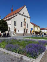 Kyjov/ Gaya, Barockkirche Maria Himmelfahrt am Hauptplatz, erbaut von 1713 bis 1720 (31.05.2019)