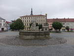 Vyskov / Wischau, Brunnen und Pestsule am Marktplatz (04.08.2020)