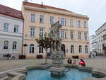 Znojmo, Brunnen am Platz Vaclavske Namesti (29.05.2019)