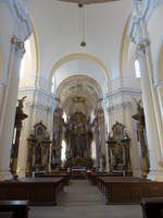 Prestice, barocke Altre in der Pfarrkirche Maria Himmelfahrt (06.07.2019)