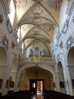 Litomerice / Leitmeritz, Orgelempore in der St.