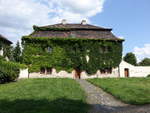 Litomerice / Leitmeritz, Efeubewachses Haus am Domske Namesti (27.06.2020)