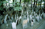 Der Alte Jdische Friedhof in Prag im ehemals jdischen Viertel Josefov der Prager Altstadt.