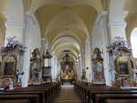 Uhersky Brod / Ungarisch Brod, barocker Innenraum der Pfarrkirche zur unbefleckten Empfngnis (02.08.2020)