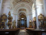 Kloster Zirc, barocker Innenraum der Klosterkirche, Hochaltarbild von Franz Anton Maulbertsch (27.08.2018)