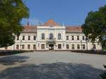 Abony / Wabing, Rathaus im Vigyz-Schloss am Kossuth Lajos Ter (25.08.2019)