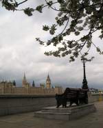 Blick auf das Westminster und den Big Ben.