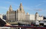 Das Royal Liver Building am 13.09.2012.