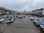 Ilfracombe, Huser um den Hafen (13.05.2024)