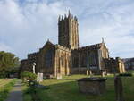 Ilminster, Pfarrkirche St.