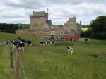 Balgonie Castle in Glenrothes (09.07.2015)