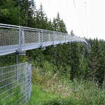 Bad Wildbad, die Fu�g�ngerh�ngebr�cke  Wildline , 380m Spannweite, 60m hoch, 141 Tonnen Gewicht, Juli 2018 eingeweiht, Sept.2026 Sept.2026