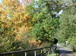 Deutschland, Rheinland-Pfalz, Eifel, der Maare-Mosel-Radweg (MMR) zwischen Hasborn und Gillenfeld.