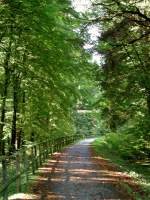 Deutschland, Rheinland-Pfalz, Eifel, der Maare-Mosel-Radweg (MMR) zwischen Hasborn und Gillenfeld.