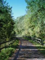 Deutschland, Rheinland-Pfalz, Eifel, der Maare-Mosel-Radweg (MMR) zwischen Hasborn und Gillenfeld.