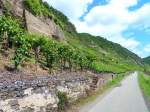 Deutschland, Rheinland-Pfalz, bei Kobern-Gondorf, Mosel Radweg zwischen den Weinbergen einerseits und der KBS 690 Trier-Koblenz sowie der Mosel andererseits.