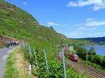 Deutschland, Rheinland-Pfalz, nord-stlich von Winningen, Mosel Radweg zwischen den Weinbergen einerseits und der KBS 690 Trier-Koblenz (mit einem stark verdecktem ET 422 Trier-Koblenz), sowie der