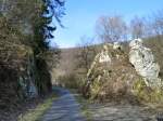 Deutschland, Rheinland-Pfalz, Ruwer Hochwald Radweg zwischen Pluwig und Hinzenburg, 12.03.2011