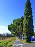 Frankreich, Languedoc, Radweg von Carnon am Mittelmeer nach Montpellier, grssenteils an der Schnellstrasse und der Strassenbahnlinie 3 entlang.