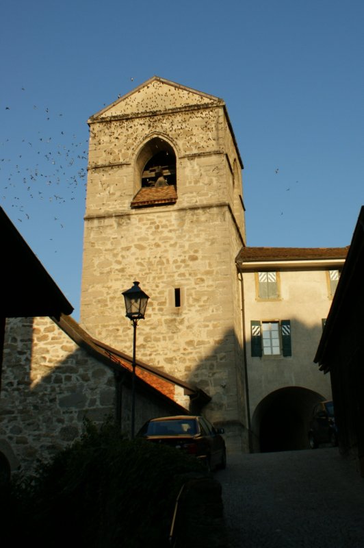 Ungewohnt die vielen schwarzen Punkte am blauen Himmel, bis ich sah, dass sich da Schwalben fr die Reise in Sden bei der Kirche von St- Saphorin sammeln.
15. September 2008