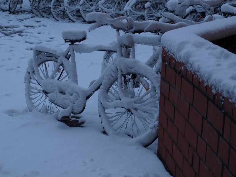 verschneiter Morgen in Ricklingen 