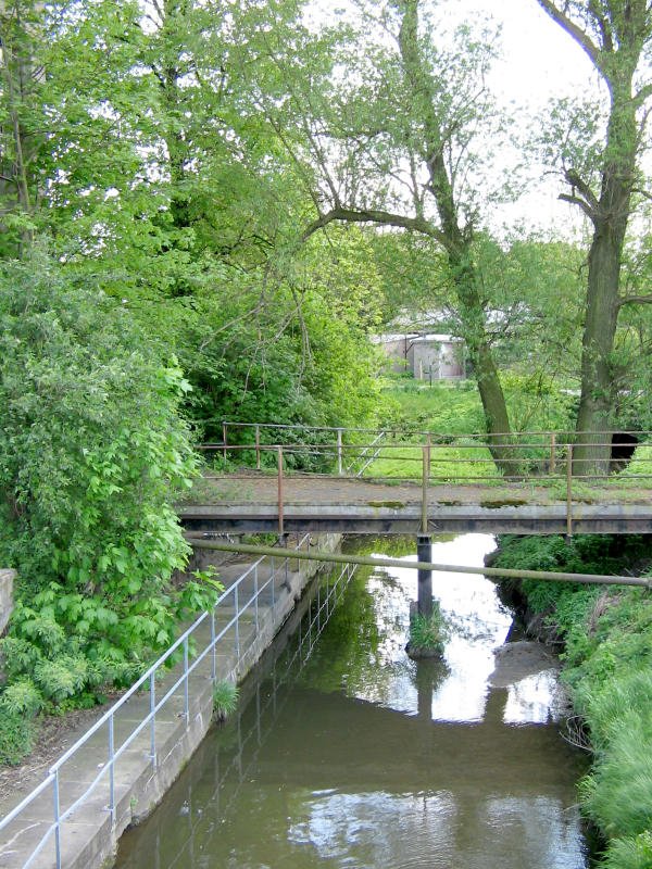 Verstohlene Ecken in Wurzen, der Mhlgaben an der ehemaligen Teppichfabrik im frischen Grn, 05.05.08