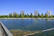 Lahr, Blick ber den 3 Hektar groen Stegmattensee auf die Wohnhochhuser am Sd-West Stadtrand, Aug.2022
