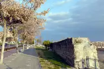 TALAVERA DE LA REINA (Kastilien-La Mancha/Provinz Toledo), 18.12.2021, Promenade am R�o Tajo