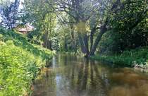 Egelneisse, entlang des Oder-Neisse-Radweges