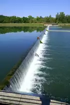 Jechtingen am Kaiserstuhl, das Wehr am Altrhein, Aug.2022