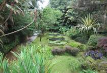 Im Park  Terra Nostra  auf der Azoren-Insel Sao-Miguel am 23.07.2023.