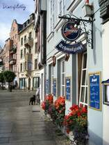 ERFURT;Domplatz -
2006