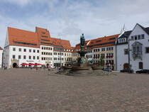 Freiberg, Huser und Brunnendenkmal am Obermarkt (18.09.2023)