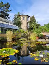 Im Botanischen Garten von Halle (Saale). Der ruhige Seerosenteich spiegelt die 1788 erbaute Sternwarte.

🕓 6.10.2023 | 14:03 Uhr