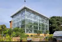Gro�es Tropenhaus des Botanischen Gartens Halle (Saale).

🕓 6.10.2023 | 14:05 Uhr