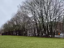 Der Mauerpark in Berlin Gesundbrunnen mit Verlauf der Mauer  am 13. Januar 2024.